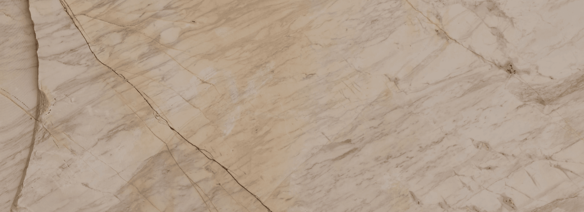 Written in silhouette, remembered for generations