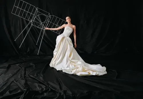Bridal Reflections