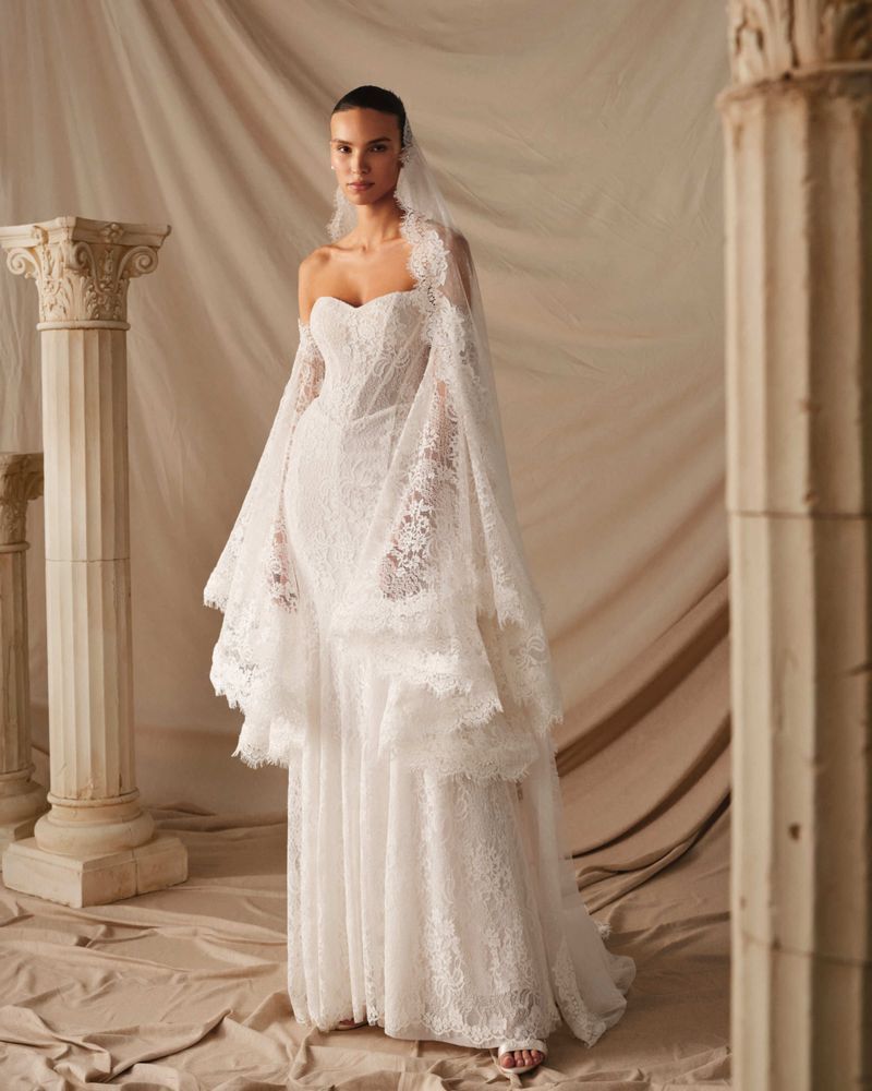 Arvenna Dresses