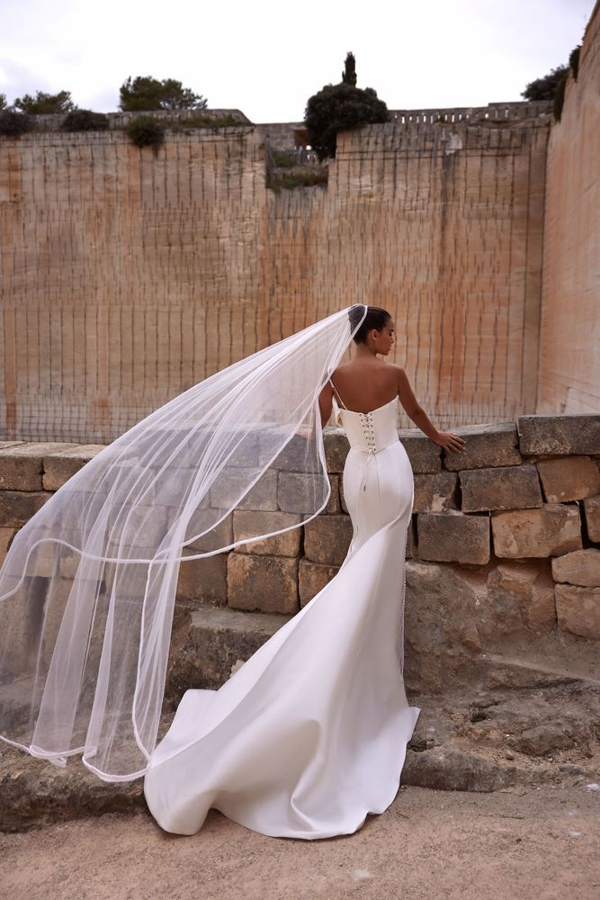 Ashlyn velo Accesorios