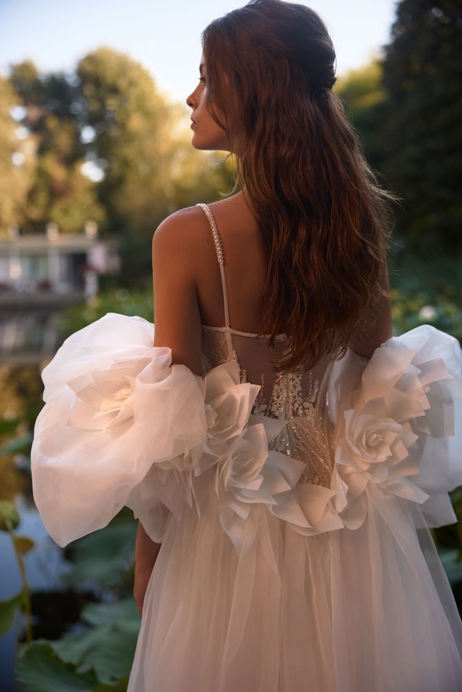 Fusion capa Accesorios