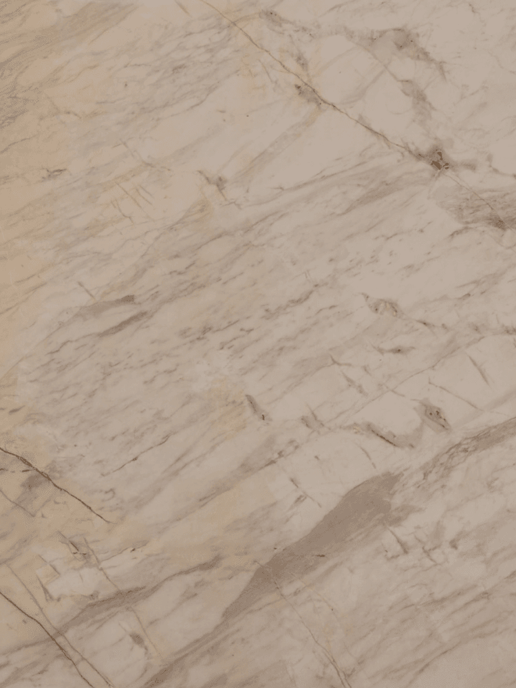 Written in silhouette, remembered for generations