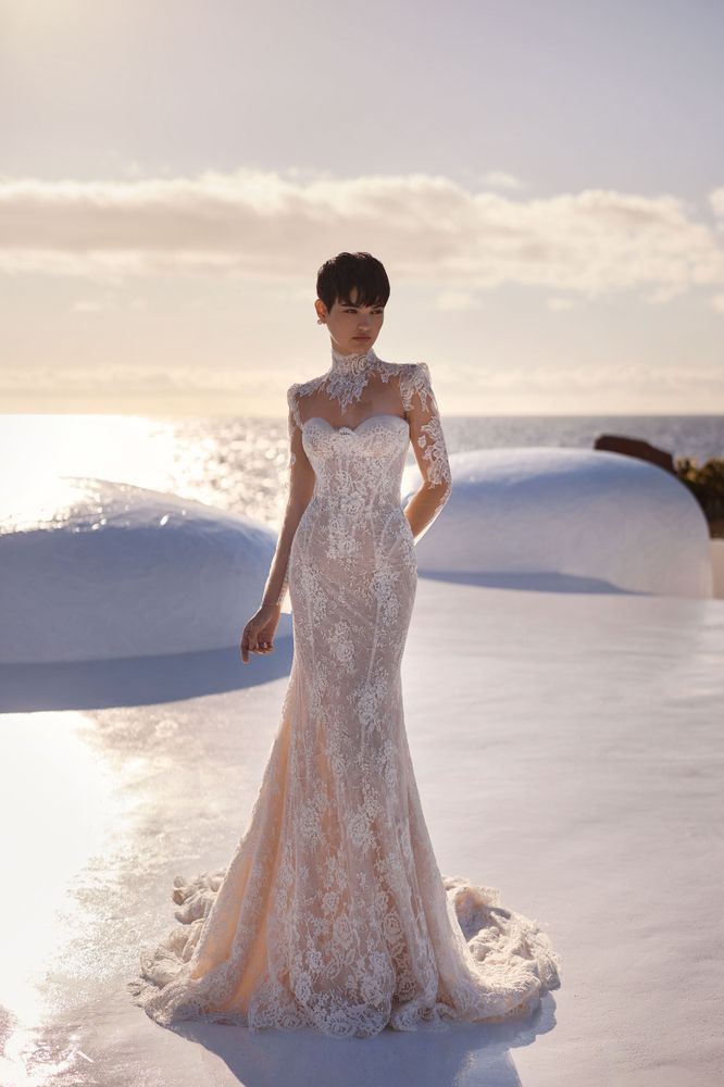 Bellamy Dresses