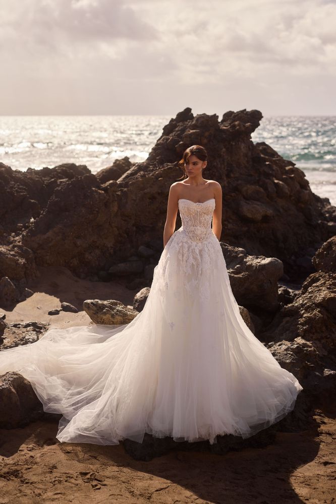 Evalisse Dresses
