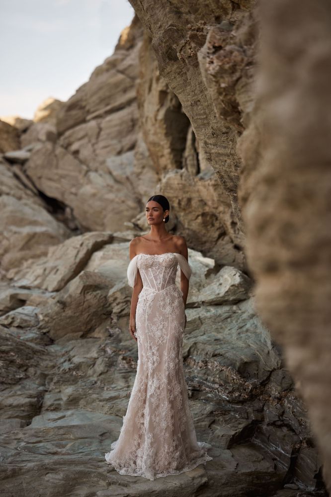 Serenata Dresses