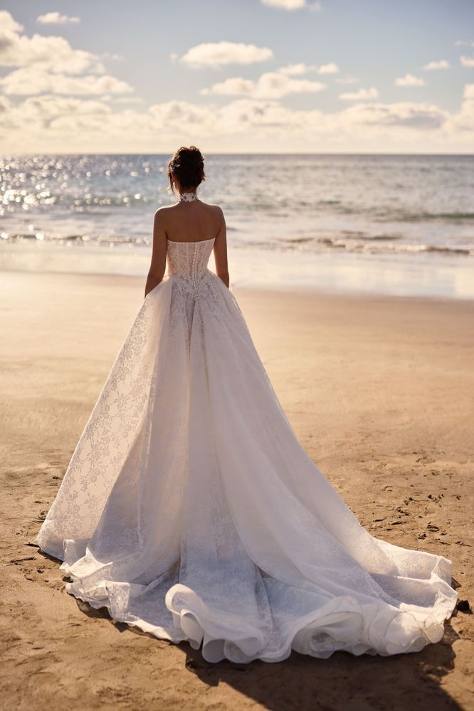 Monica Dresses